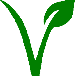 Légumes Curry Vert